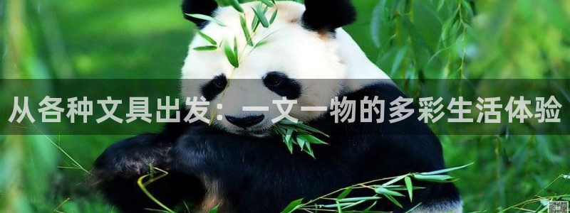 九游会主页：从各种文具出发：一文一物的多