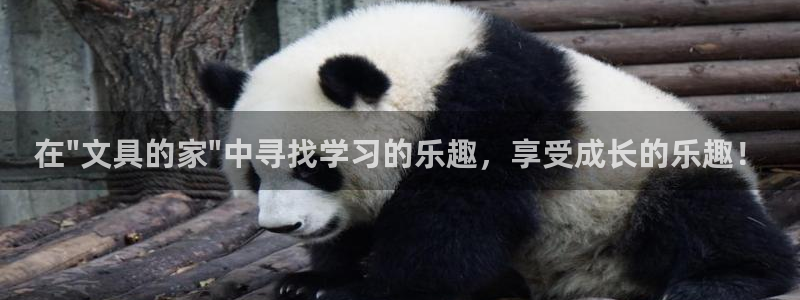 ag九游会官网下载：在\