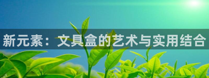 ag 九游会：新元素：文具盒的艺术与实用