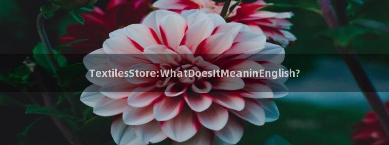 九游会老哥论坛：TextilesStor