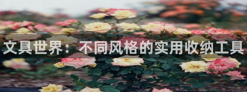 ag九游会j9登录入口旧版：文具世界：不