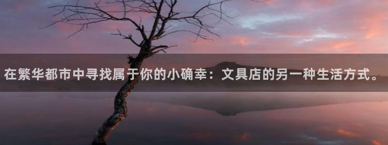 九游会官网在线登录网页：在繁华都市中寻找