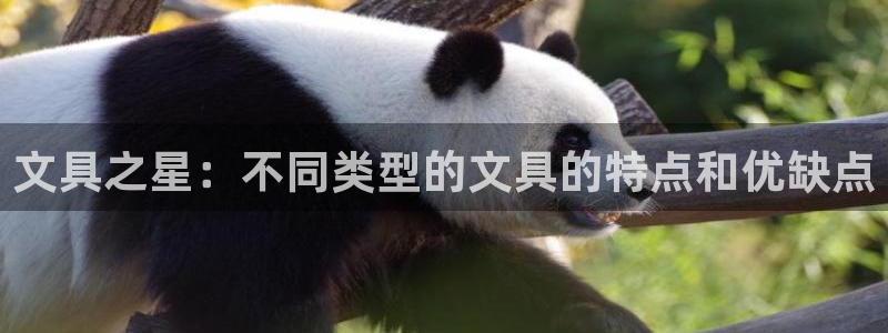 九游会视讯：文具之星：不同类型的文具的特