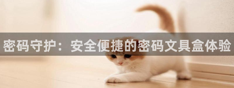 九游会尊龙：密码守护：安全便捷的密码文具