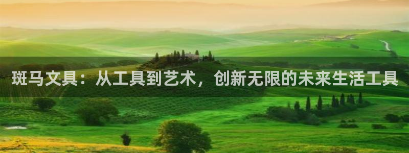 九游会怎么挖矿：斑马文具：从工具到艺术，