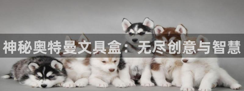 j九游会：神秘奥特曼文具盒：无尽创意与智