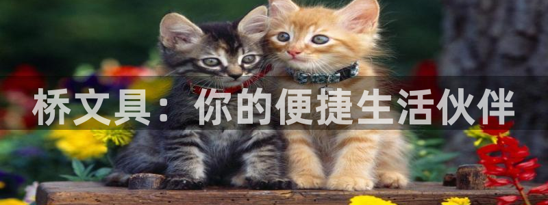 九游会网页登录：桥文具：你的便捷生活伙伴