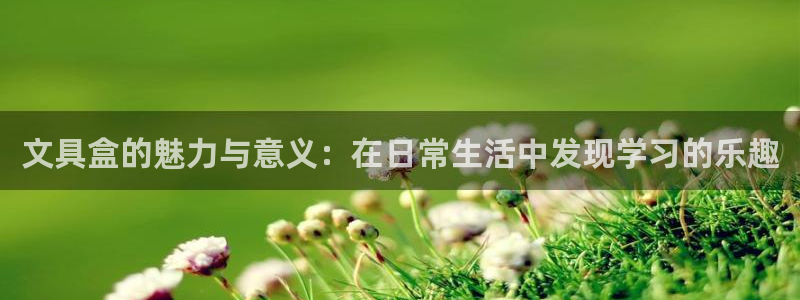 九游会老哥帮：文具盒的魅力与意义：在日常