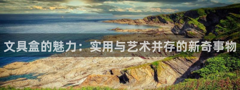 九游会注册登录：文具盒的魅力：实用与艺术