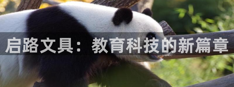 九游会百家号：启路文具：教育科技的新篇章